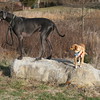 jenniehuettel > Gallery >  IMG_5768