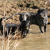 jenniehuettel > Gallery >  IMG_8462